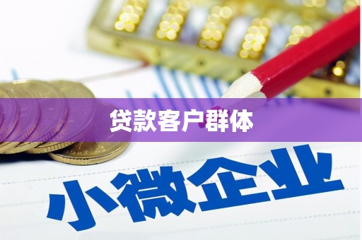 新泰贷款客户群体