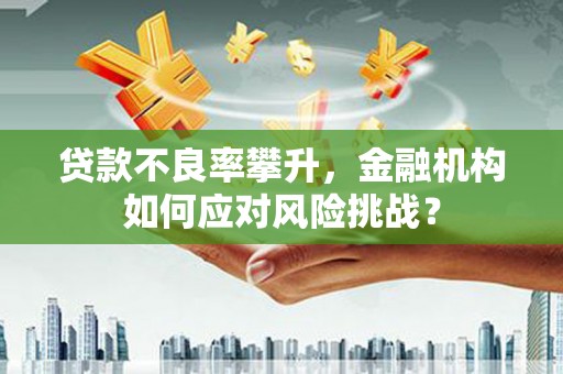 新泰贷款不良率攀升，金融机构如何应对风险挑战？