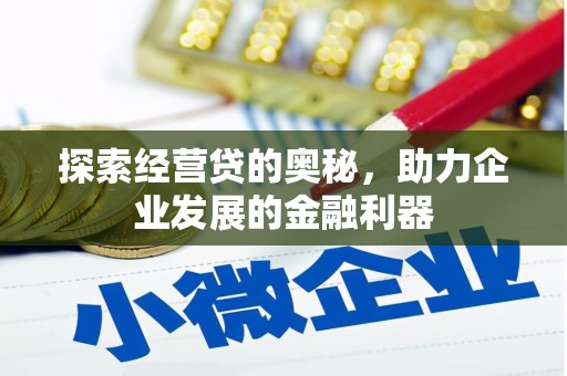 新泰探索经营贷的奥秘，助力企业发展的金融利器