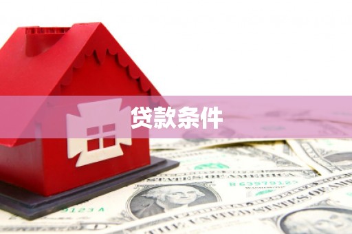新泰贷款条件