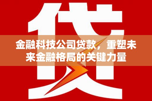 新泰金融科技公司贷款，重塑未来金融格局的关键力量