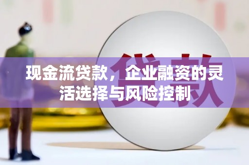 新泰现金流贷款，企业融资的灵活选择与风险控制