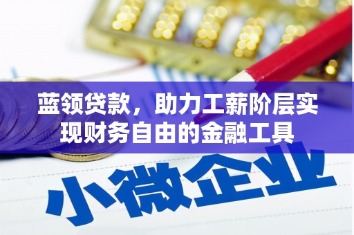 新泰蓝领贷款，助力工薪阶层实现财务自由的金融工具