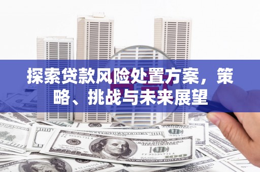 新泰探索贷款风险处置方案，策略、挑战与未来展望