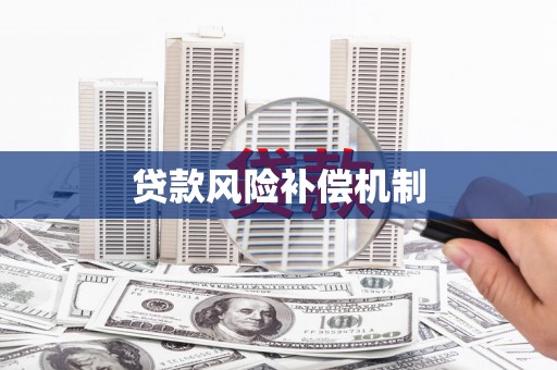 新泰贷款风险补偿机制