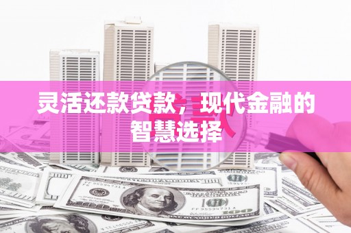 新泰灵活还款贷款，现代金融的智慧选择