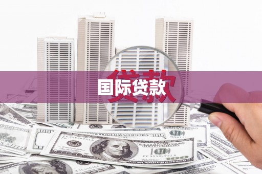 新泰国际贷款