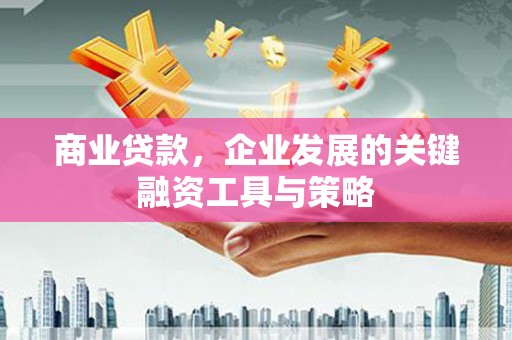 新泰商业贷款，企业发展的关键融资工具与策略
