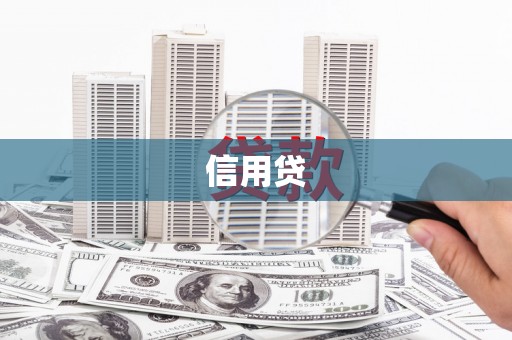 新泰信用贷