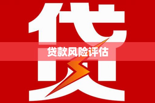 新泰贷款风险评估