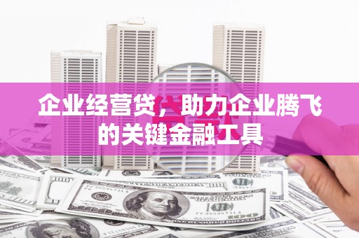 新泰企业经营贷，助力企业腾飞的关键金融工具