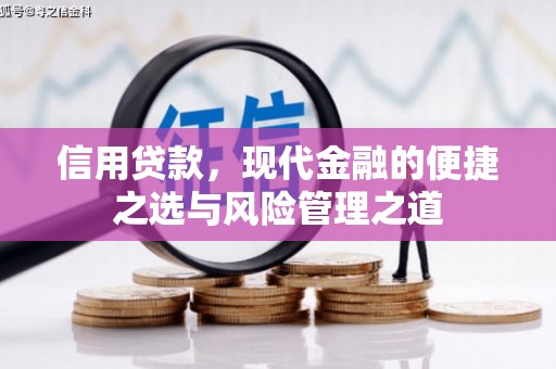 新泰信用贷款，现代金融的便捷之选与风险管理之道