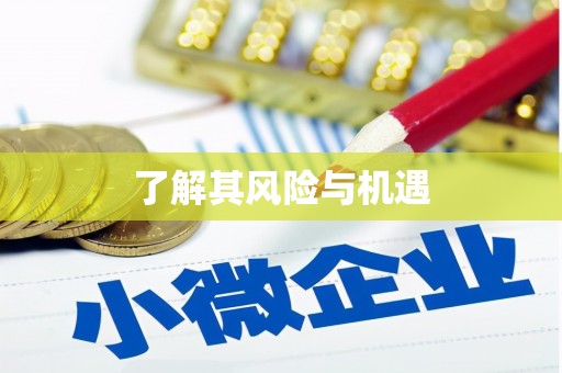 新泰了解其风险与机遇