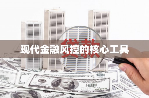 新泰现代金融风控的核心工具