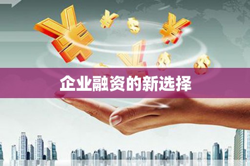 新泰企业融资的新选择