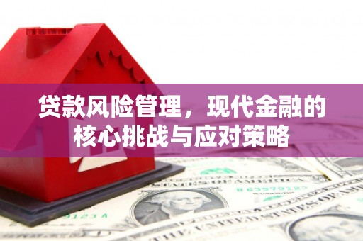 新泰贷款风险管理，现代金融的核心挑战与应对策略