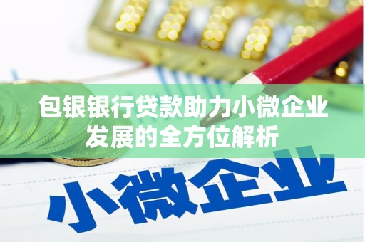 新泰包银银行贷款助力小微企业发展的全方位解析 新泰包银银行贷款助力小微企业发展的全方位解析