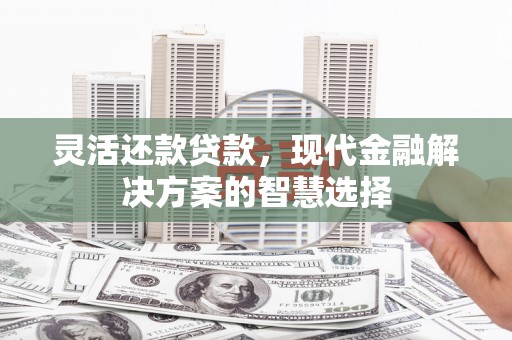 新泰灵活还款贷款，现代金融解决方案的智慧选择