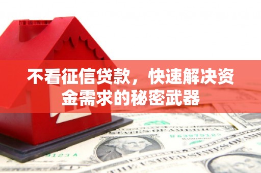 新泰不看征信贷款，快速解决资金需求的秘密武器