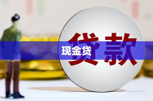 新泰现金贷