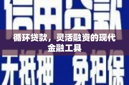 新泰循环贷款，灵活融资的现代金融工具