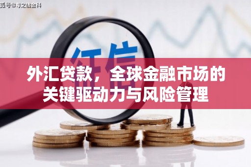 新泰外汇贷款，全球金融市场的关键驱动力与风险管理