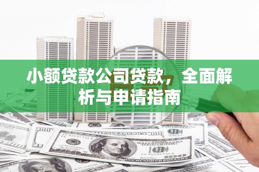新泰小额贷款公司贷款，全面解析与申请指南