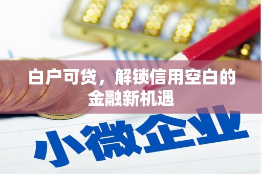 新泰白户可贷，解锁信用空白的金融新机遇