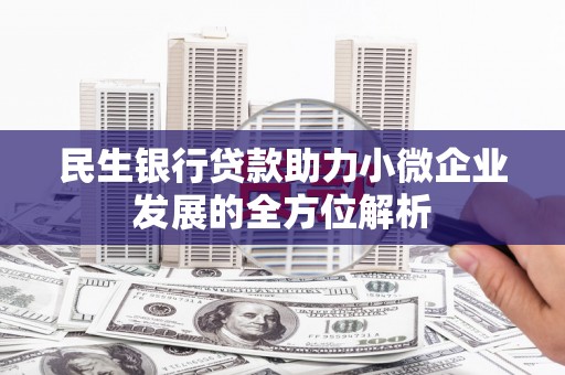 新泰民生银行贷款助力小微企业发展的全方位解析