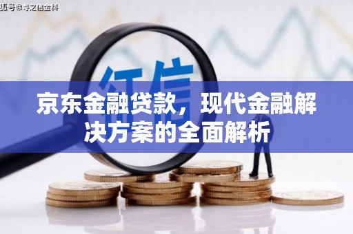 新泰京东金融贷款，现代金融解决方案的全面解析