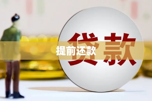 新泰提前还款