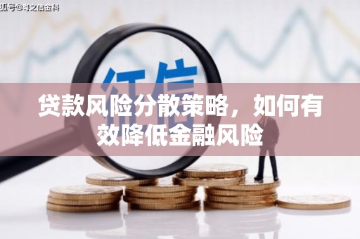 新泰贷款风险分散策略，如何有效降低金融风险