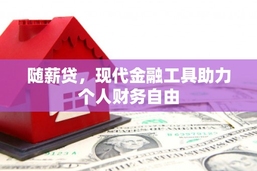 新泰随薪贷，现代金融工具助力个人财务自由