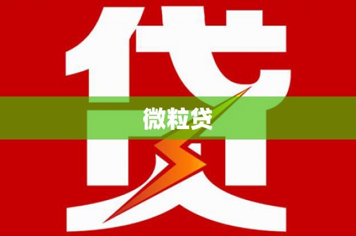 新泰微粒贷