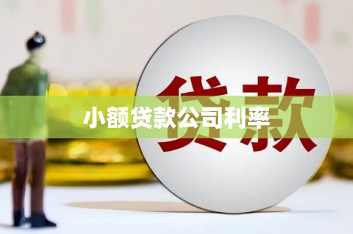 新泰小额贷款公司利率