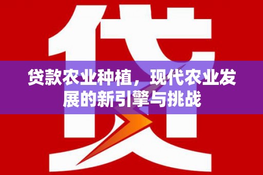 新泰贷款农业种植，现代农业发展的新引擎与挑战