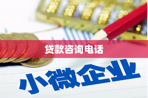 新泰贷款咨询电话