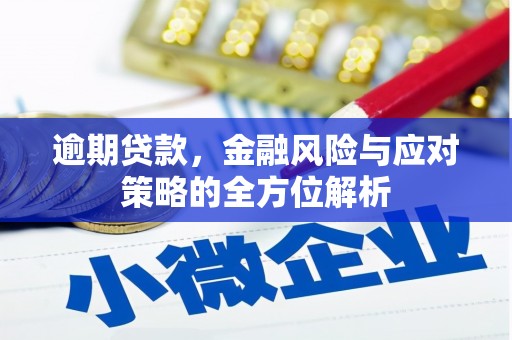 新泰逾期贷款，金融风险与应对策略的全方位解析