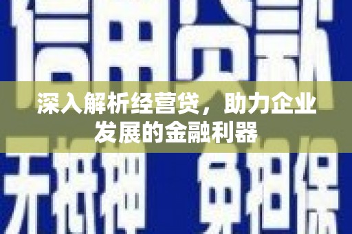 新泰深入解析经营贷，助力企业发展的金融利器
