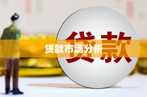 新泰贷款市场分析