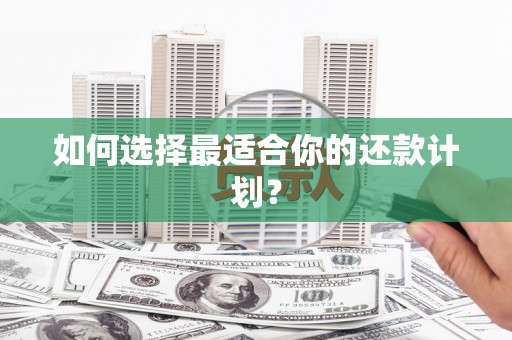 新泰如何选择最适合你的还款计划？