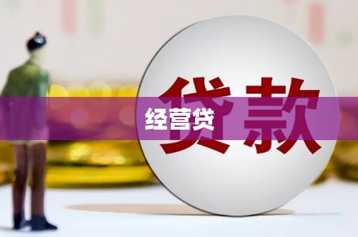 新泰经营贷