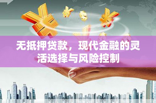新泰无抵押贷款，现代金融的灵活选择与风险控制