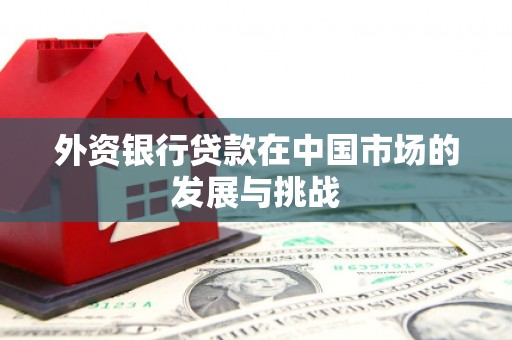 新泰外资银行贷款在中国市场的发展与挑战