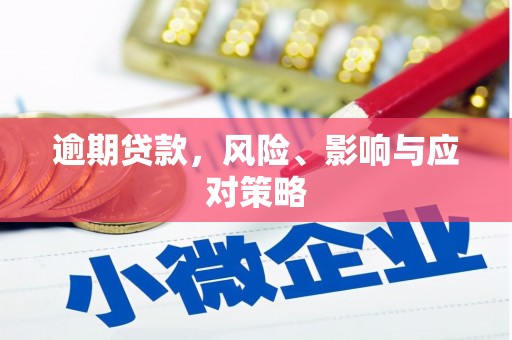 新泰逾期贷款，风险、影响与应对策略