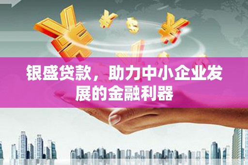 新泰银盛贷款，助力中小企业发展的金融利器