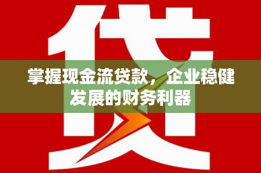 新泰掌握现金流贷款，企业稳健发展的财务利器