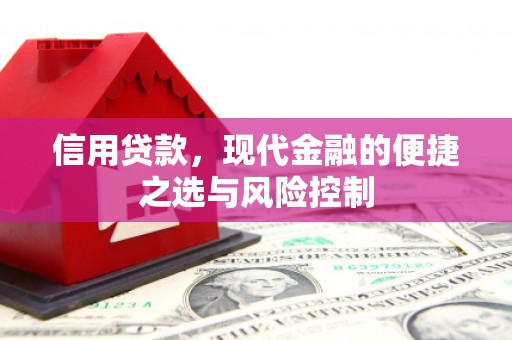 新泰信用贷款，现代金融的便捷之选与风险控制