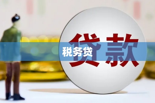 新泰税务贷