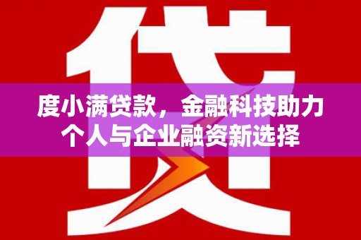 新泰度小满贷款，金融科技助力个人与企业融资新选择